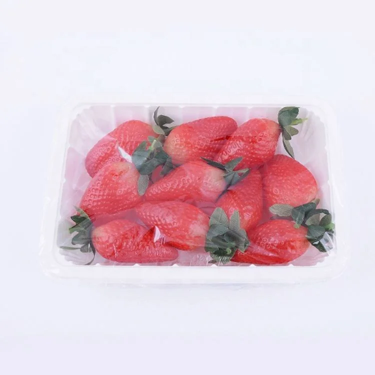 plastic wrap