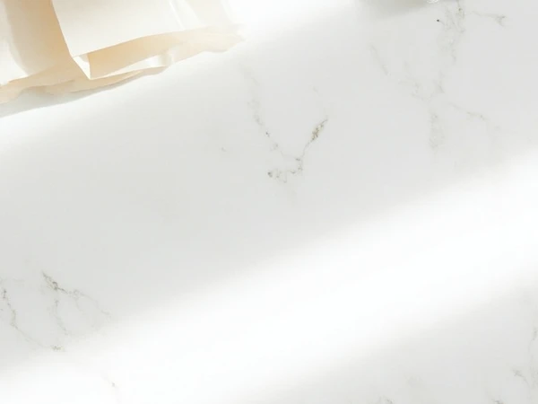 Carbon Neutrality Goals Accelerate Biodegradable Material Adoption in Food Packaging Industry