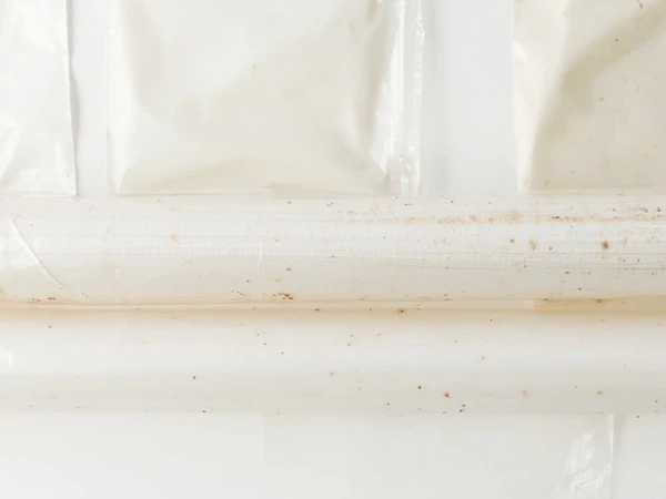 Baodafor Ramps Up for Peak Summer Food Storage Demand with Capacity and Quality Upgrades