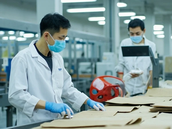 Food Packaging Industry Accelerates Green Transformation, Biodegradable Materials Become New Trend